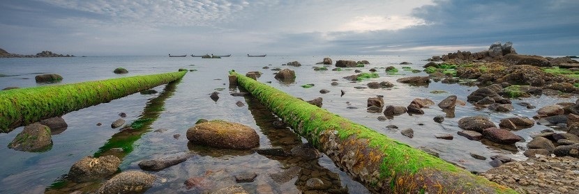 排污口論證