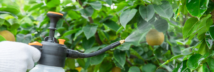 抗生物侵蝕性