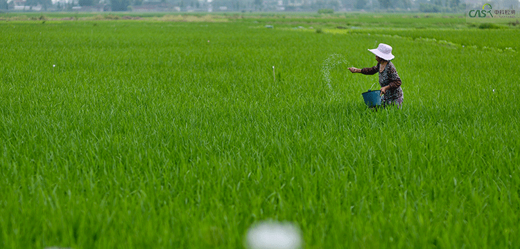 孔徑檢測(cè)